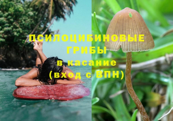 меф Арсеньев