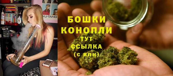 меф Арсеньев