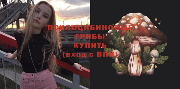 меф Арсеньев