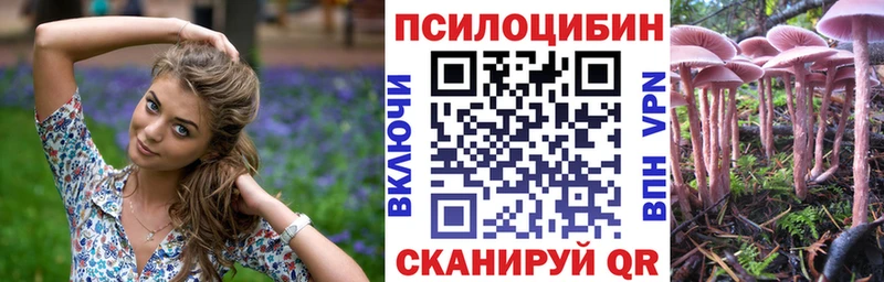 darknet телеграм  наркота  Перевоз  Галлюциногенные грибы прущие грибы 